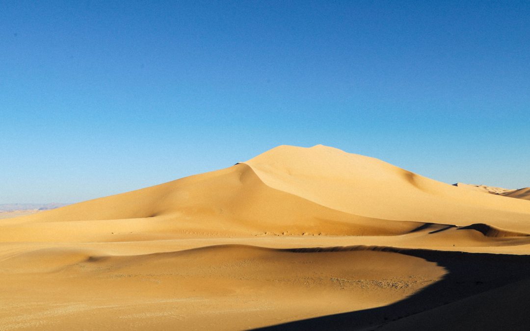 San Diego’s November Highlights
